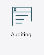 Auditing