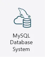 MySQL Database System